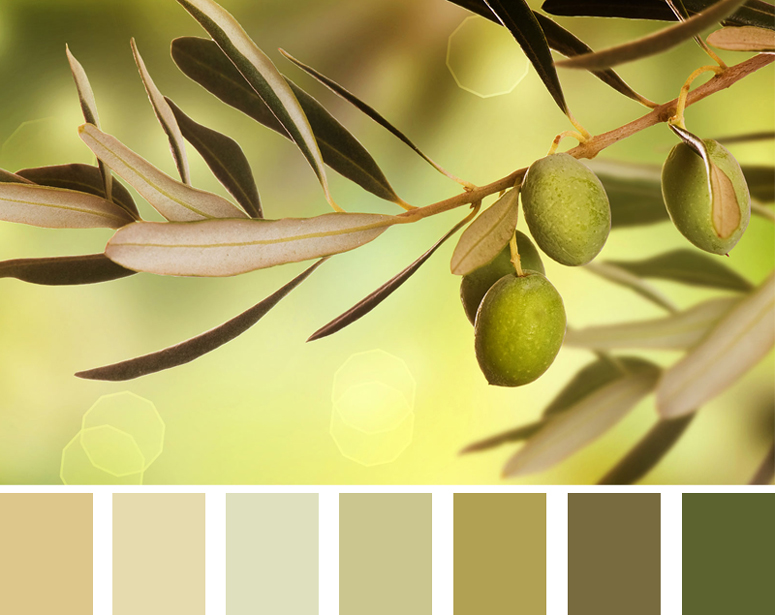 Оливковый цвет – осенний тренд. Выбираем оливковые ковры!