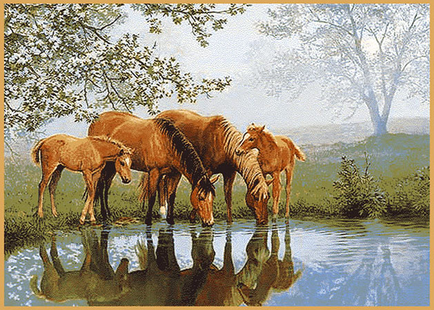 Souvenir_6S1027-082.jpg ab93888193169087e4dc4953d2fa71a3.jpg