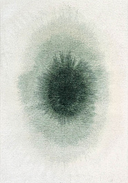 дизайн безворсового ковра Reflection LR6250-L425 outdoor