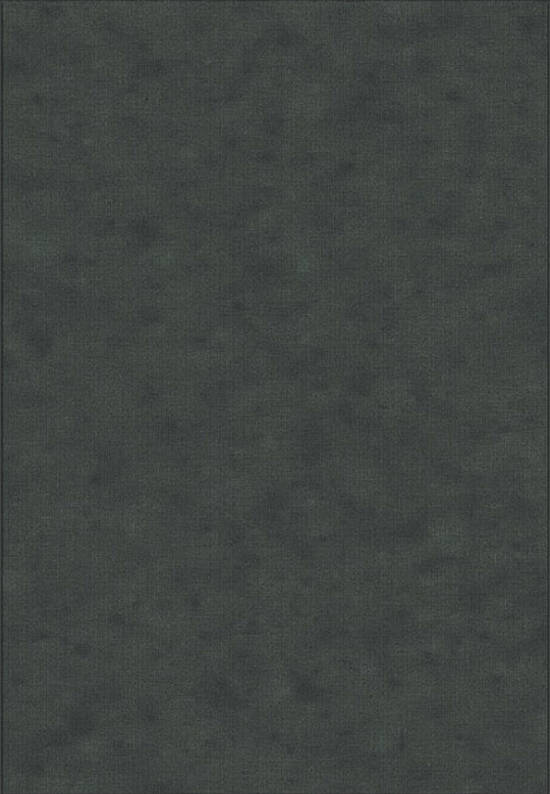 Бельгийский ковер из вискозы VB4479-V467