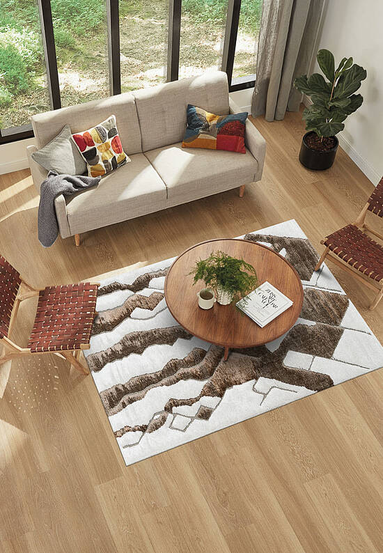 Пушистый ковер из полиэстера RN6018-R586