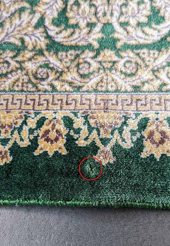 Иранский классический ковер Versace-Green discount