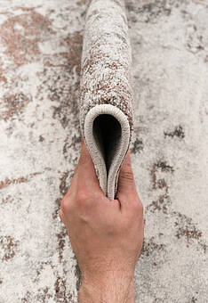 фактура ковра Florida RF2979-R679