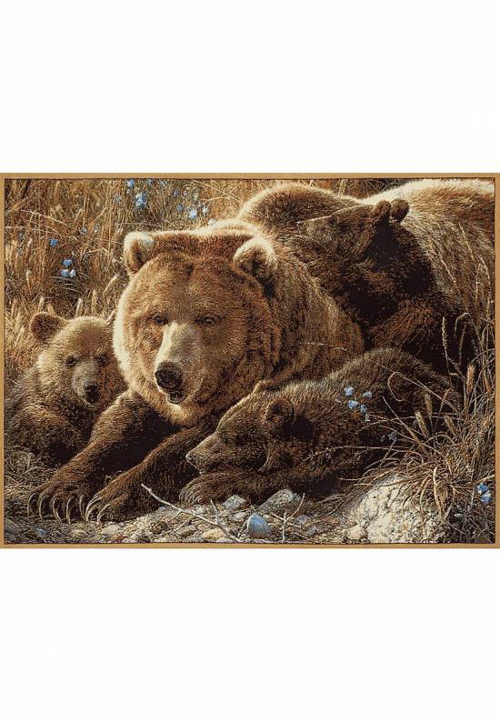 Монгольский шерстяной ковер EA4735-E10