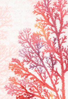 фрагмент коврика для ванной Confetti Bath Bella Coral 01 Pink