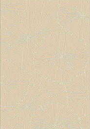 дизайн ковра Geo Moldabela 8867-44422