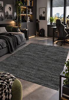 ковер в интерьере Platinum RP6266-R662