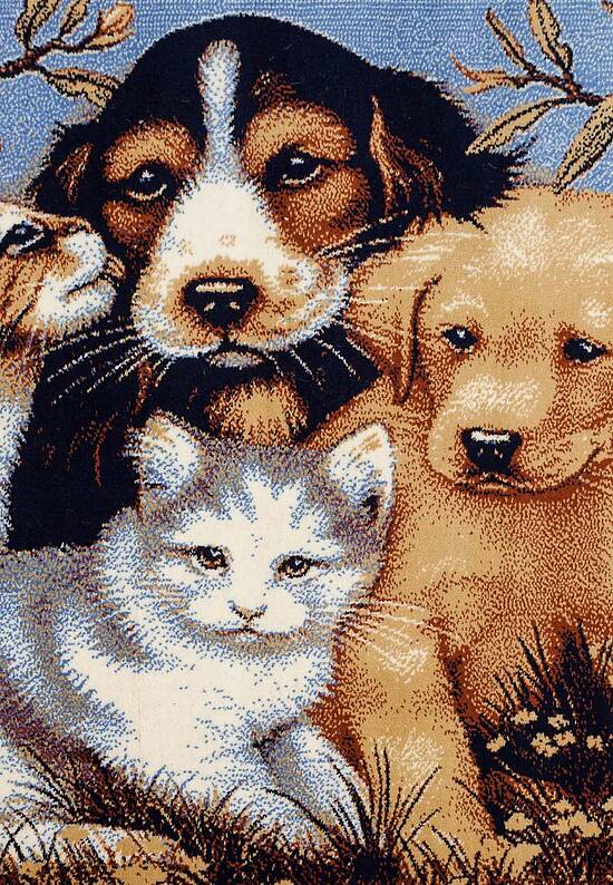 Натуральный шерстяной ковер 4S0861-082