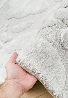 фактура ковра Edea RE6005-R55 RR овал