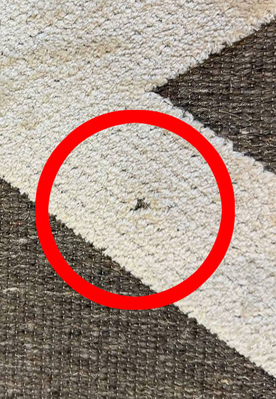 Бельгийский натуральный ковер с рельефом VA006-V13 discount