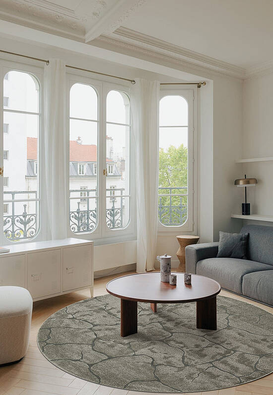 Современный бельгийский ковер RS6025-R636