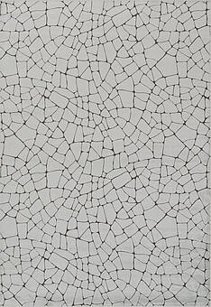 дизайн ковра Sakura RS3185-R350