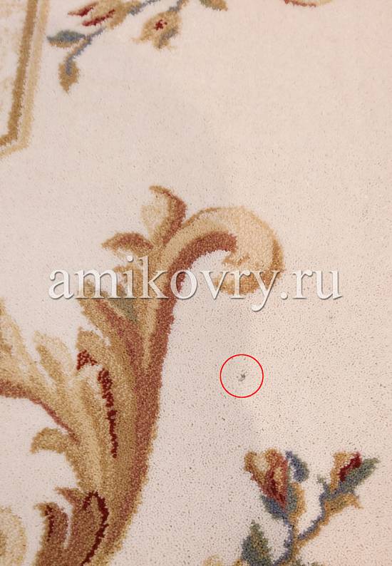 Молдавский шерстяной ковер 8539-51033 discount23