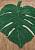 Детский стираемый ковер Monstera Leaf