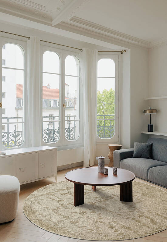 Современный бельгийский ковер RS6025-R73