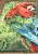 Детский ковер с ворсом Scarlet Macaw 01 Green