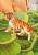 Детский мягкий игровой коврик Savane