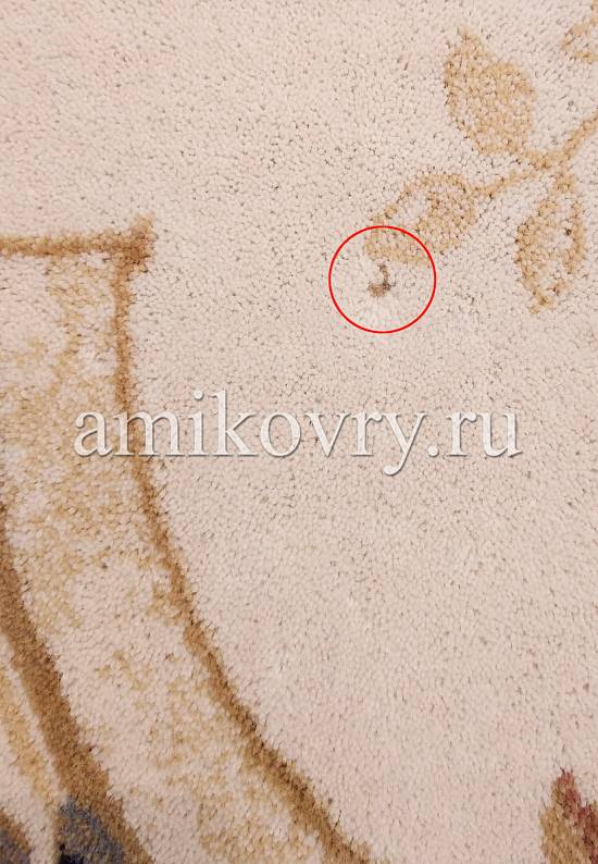 Молдавский шерстяной ковер 8539-51033 discount23