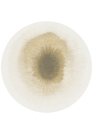 дизайн безворсового ковра Reflection LR6250-L424 outdoor круг