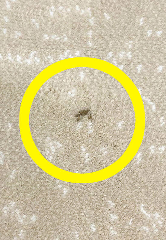 Бельгийский высокоплотный ковер OE5703-O351 discount