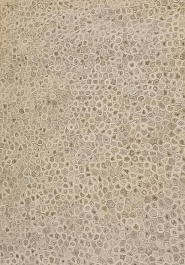 дизайн безворсового ковра Nature Chakri/Glued, Sewn-Ivory Brown discount
