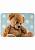 Детский мягкий игровой коврик Kids 6