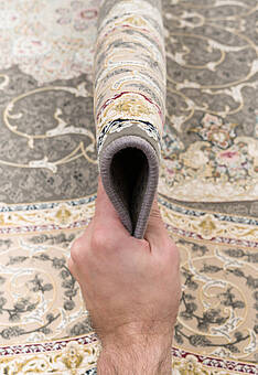 фактура ковра Darius FD4073-F1