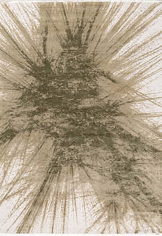 дизайн ковра Rivoli SR6199