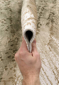 фактура ковра Rivoli SR6199