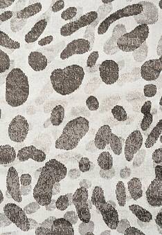 фрагмент ковра Grazia RG3623-R314