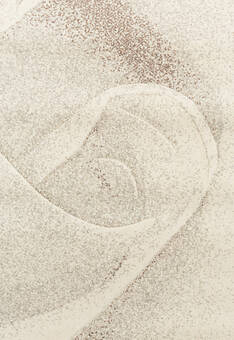 фрагмент ковра Burkhan EB4663-E5