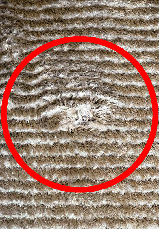 Бельгийский ковер из вискозы и полиэстера VR022-V27 discount1