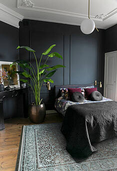 ковер в интерьере Clivia BC3930