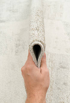 фактура ковра Florida RF6016-R56