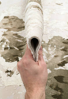 фактура ковра Rivoli SR6204