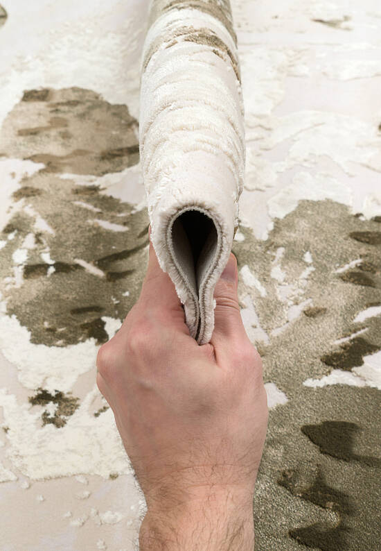 Современный турецкий ковер SR6204