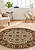 Элитный ковер ручной работы 10/10 SC-733-Ivory/Camel