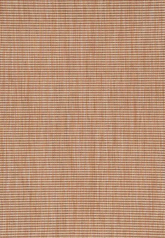 Ковер-циновка для дома и улицы BR2332-B29