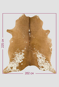 размер натуральной шкуры коровы Триколор светлый 1063