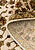 Элитный ковер ручной работы 10/10 SC-733-8-Ivory/Camel