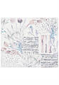 Коврик для ванной Confetti Bath Bella Artichoke Flower 01 White квадрат