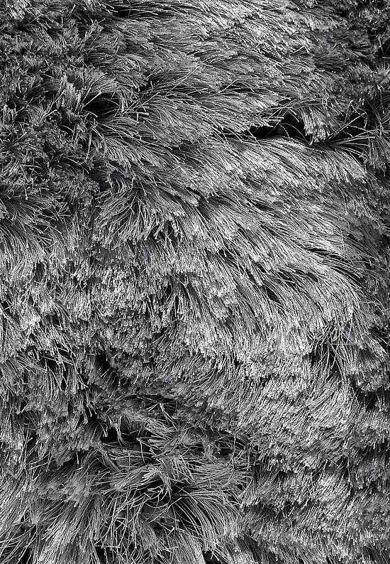 Дизайнерский ковер Adore 207.001-950