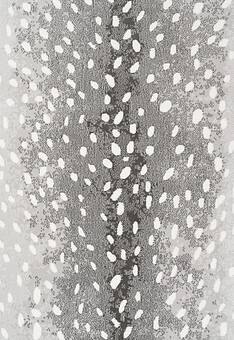 фрагмент ковра Medici OM2551-O62