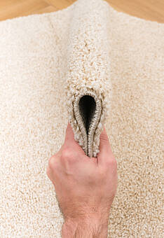 фактура ковра Sofia Merinos T600-Light Beige