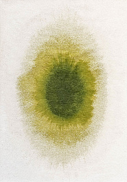 дизайн безворсового ковра Reflection LR6250-L426 outdoor