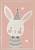 Недорогой современный ковер 2349-Light Pink