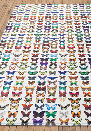ковер в перспективе  House of Kids Print 48-C