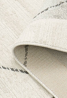 фактура ковра Torino RT6030-R81