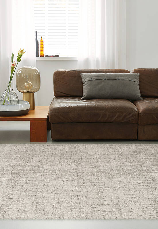 Пушистый ковер из полиэстера RN6019-R461