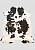 Натуральная шкура коровы Триколор коричневый LN002-Tricolor 841